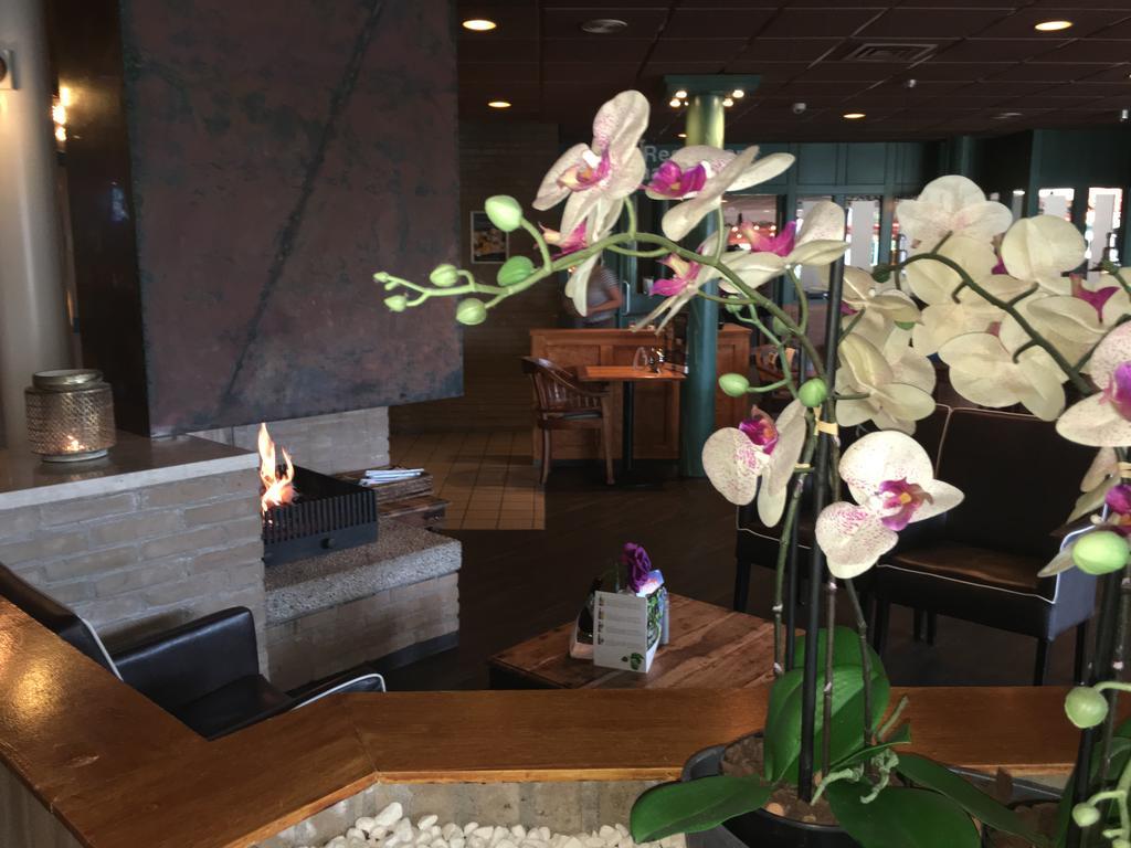 Appartement Ut & Thus, Resort Amelander Kaap Hollum  Exterior photo